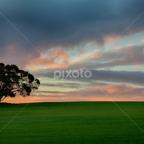 Autumn by Tim Pryce - Landscapes Prairies, Meadows & Fields