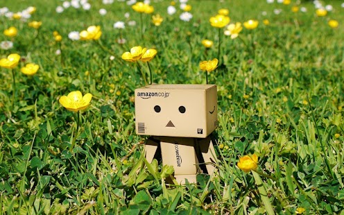 Lovely Danbo