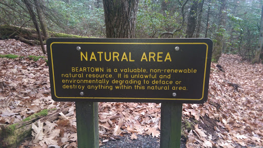 Beartown Natural Area
