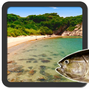 Your sea (real time sea sim).apk 1.2.6