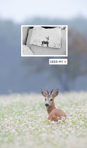 deer my 카카오톡 테마