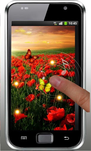 免費下載個人化APP|Poppy Flower HD Live Wallpaper app開箱文|APP開箱王