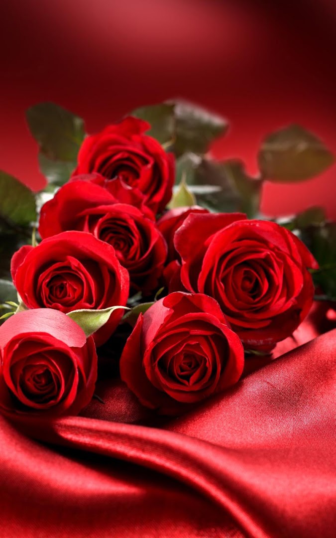 Wallpaper Bunga Keren<br/>