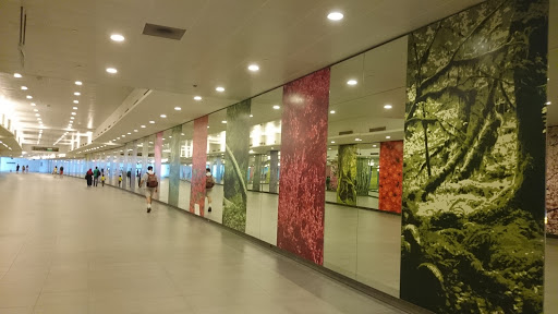 Collection Of Nature Murals 