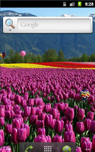 Balloons Live Wallpaper Free(圖5)-速報App