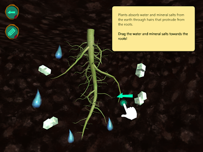 Arloon Plants(圖8)-速報App