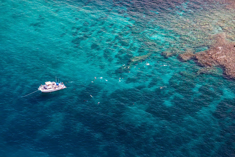  Snorkelers enjoy the reef in Makena, Maui. 
 
 