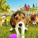 Pets Puppy mobile app icon