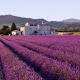 Provence by SPORz APK