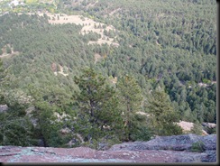 P9190137