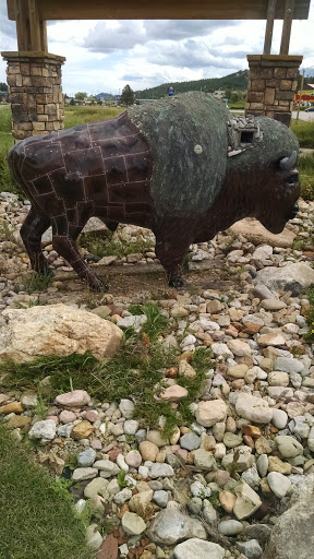 Mining Buffalo