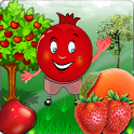 Fruit Juicer icon