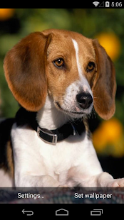 Cute Dogs Live Wallpapers(圖5)-速報App