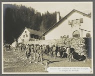 Alpenjagers begeleiden muilezels bij het transport van militaire staf, vermoedelijk Italianen