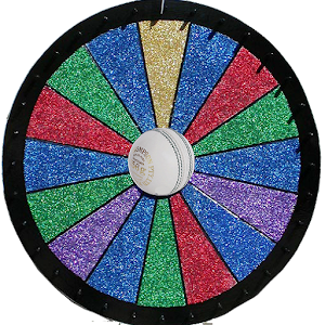 IPL-Wheel Cricket.apk 1.0