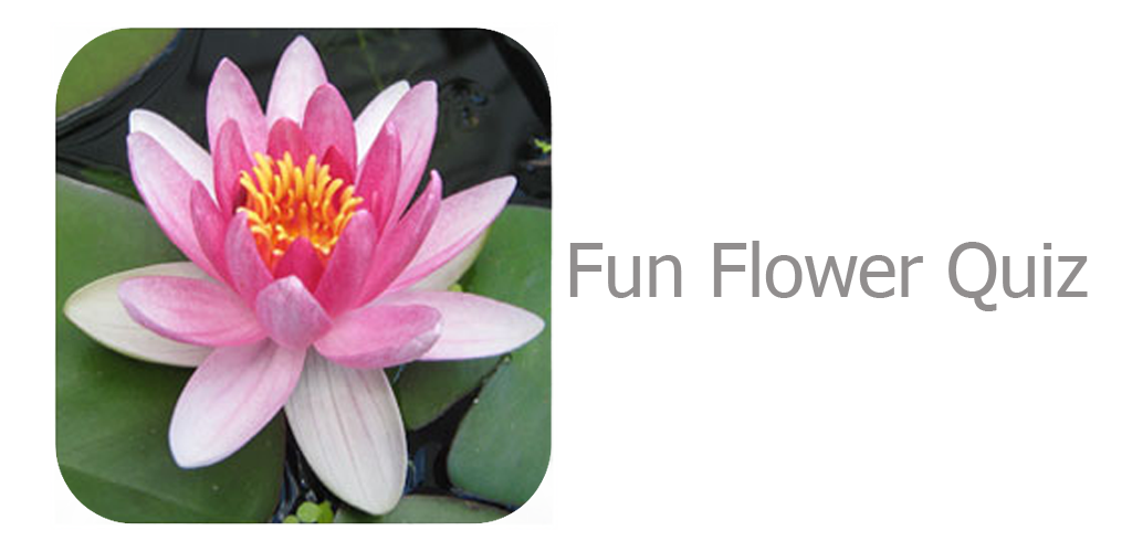 Funning flowers. Flowers Quiz. Fun Flowers. Fun with Flower.