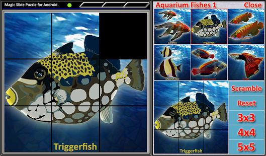 How to install Magic Slide Puzzle A Fishes 1 1.29 mod apk for pc