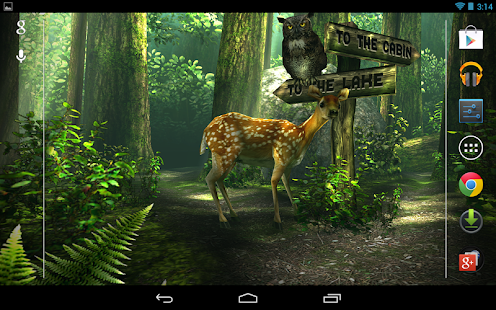 Forest HD(圖1)-速報App