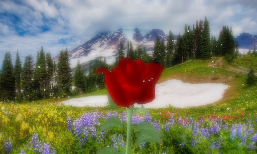 How to install Rose 3D live wallpaper patch 1.0 apk for pc