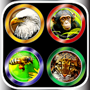 100'+ Animal Sounds & Buttons 1.0 Icon