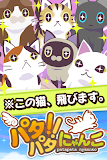 パタパタ!!にゃんこ