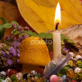 Beautiful Candles by Jeannie Love - Artistic Objects Other Objects