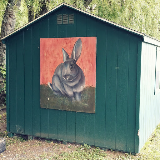 Rabbit Mural 