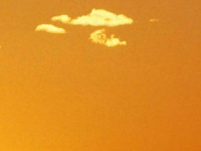 [最も欲しかった] 壁紙 ス��ホ 動物 画像 222220-スマホ 壁紙 無料 キャラクター