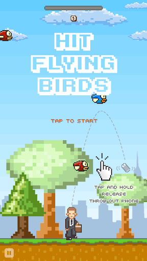 Hit Flying Birds