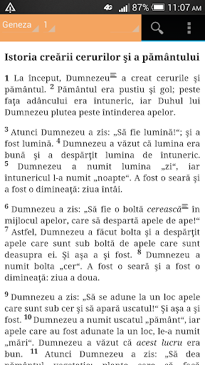 ROMANIAN BIBLE