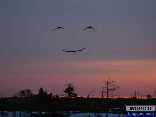 Smile on the Sky