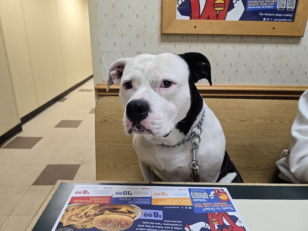  George Webb Restaurant