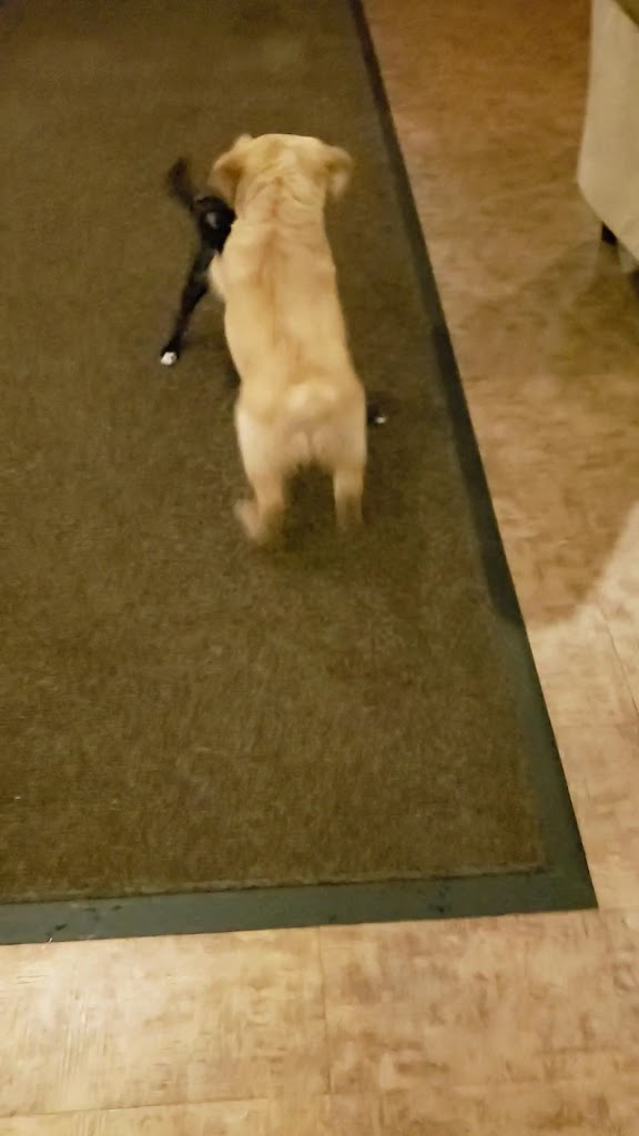  The Boulevard Restaurant & Bar