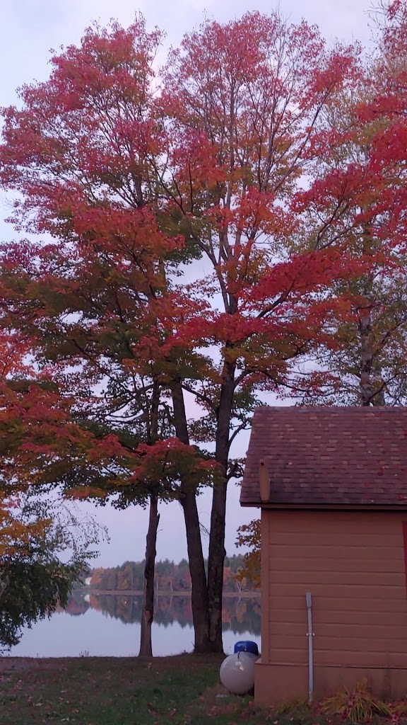  Northern Lure Resort & Campground LLC