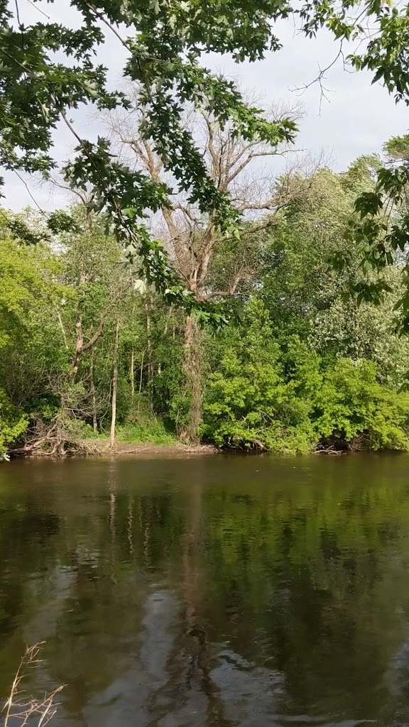  Fiddleheads Coffee Thiensville