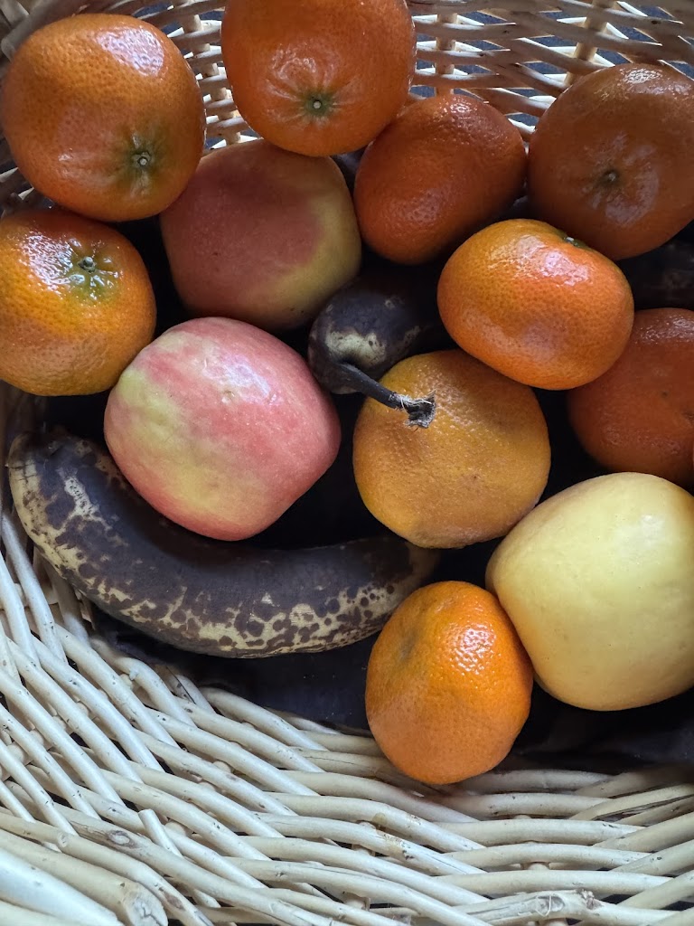  Stout's Island Lodge