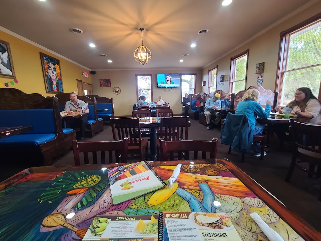  Avocados Mexican Grill