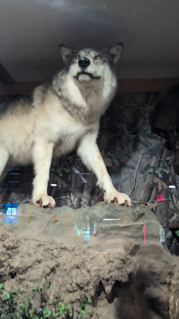  9 Mile All Sport Resort