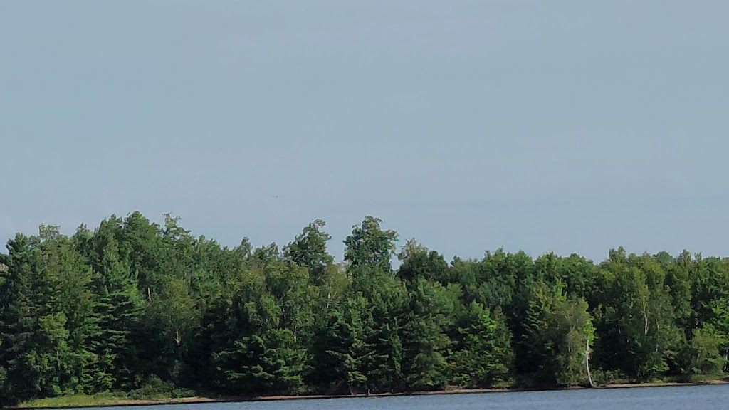  Treeland Resorts & Restaurant