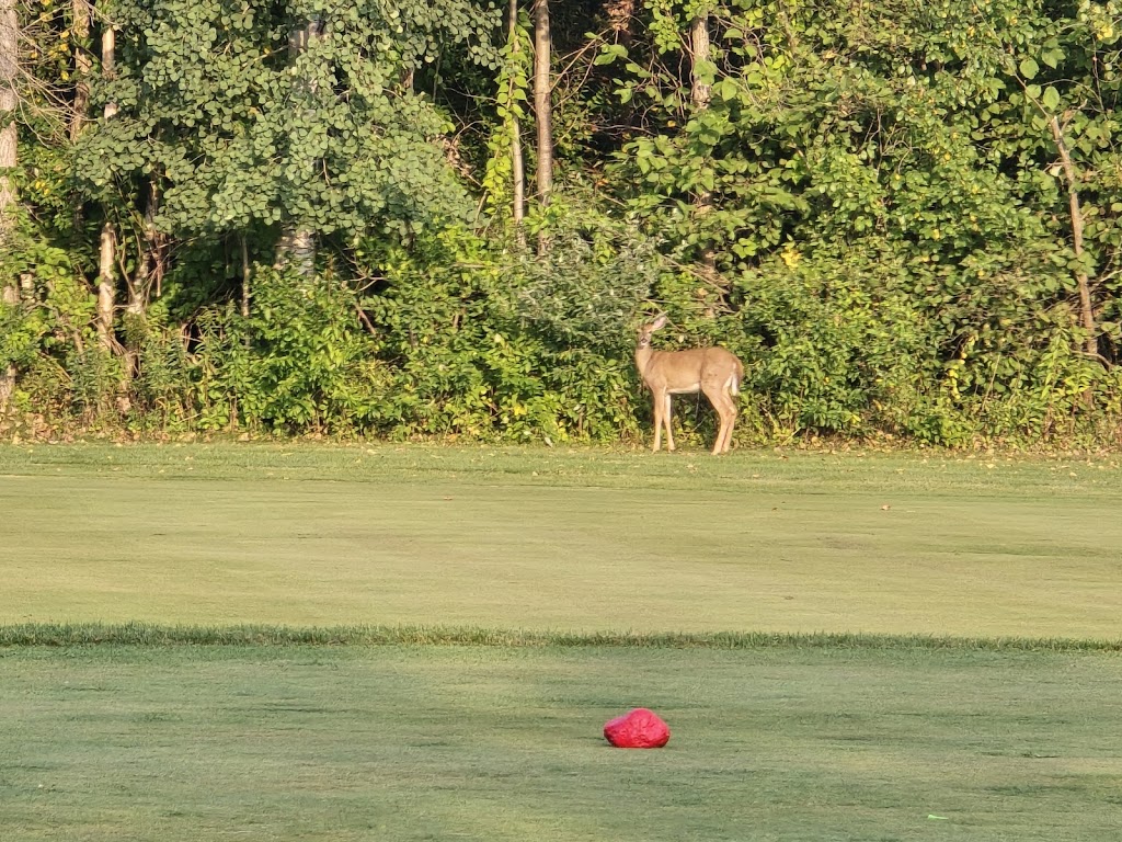  Thornberry Creek at Oneida
