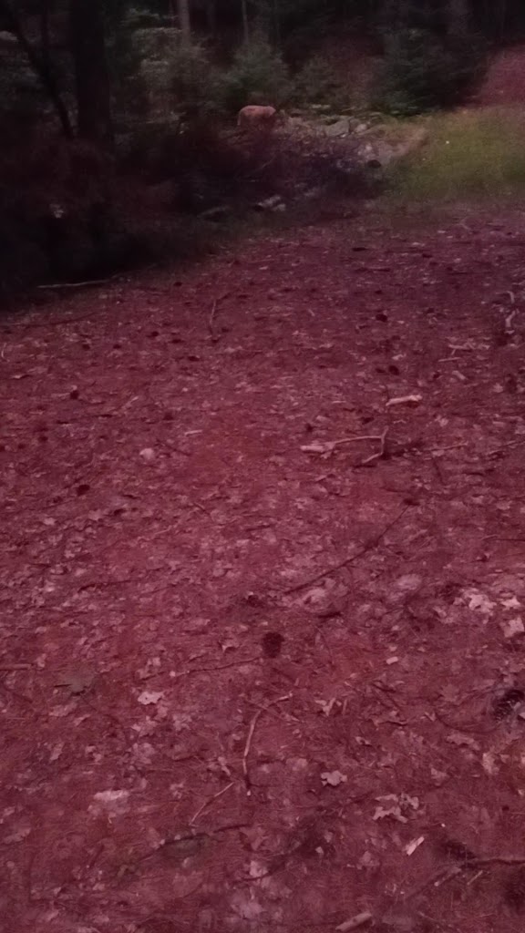  Hilltop Cottages Resort