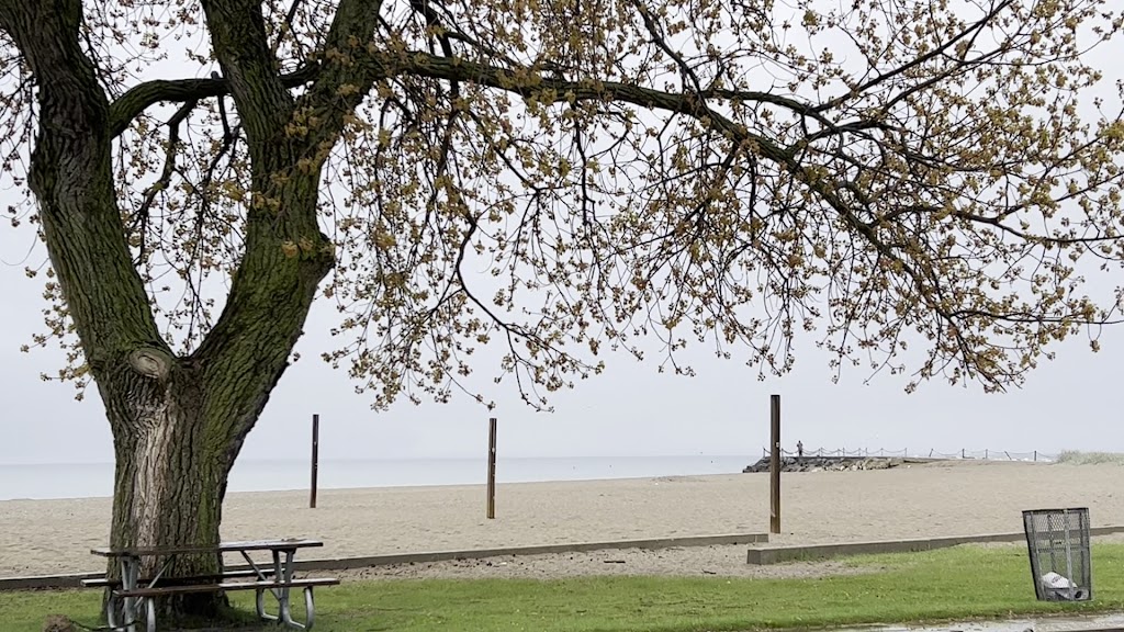  Ferch's Beachside Grille