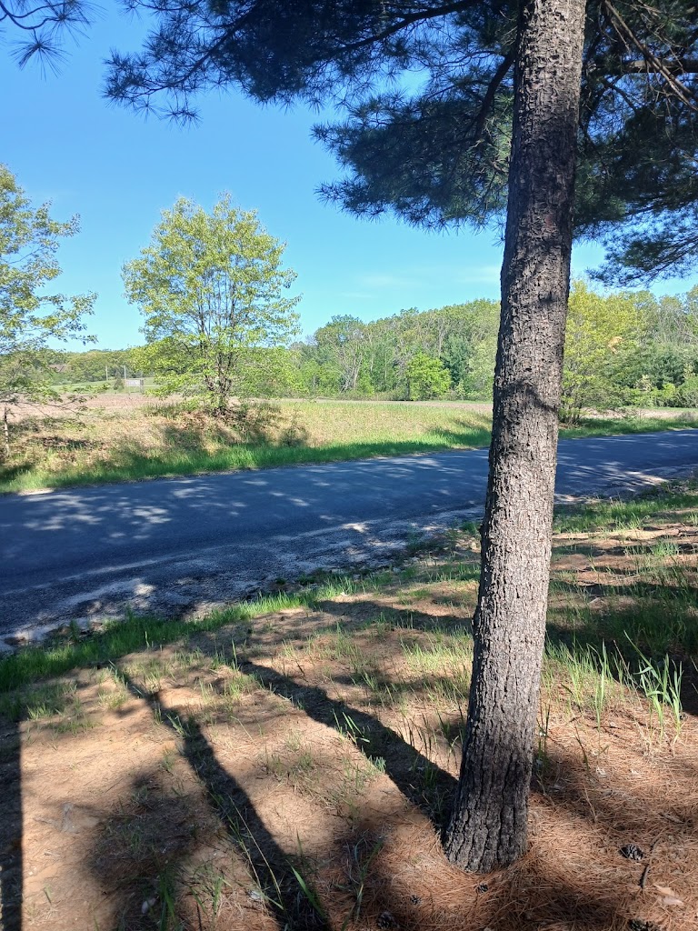  Christmas Mountain Village