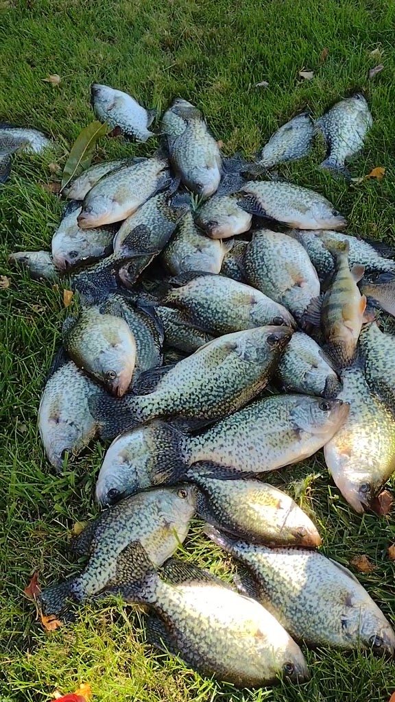  Black Stone Family Restaurant