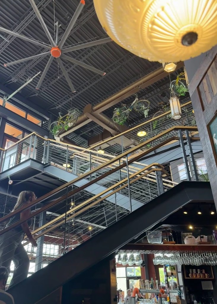  Café Hollander Hilldale