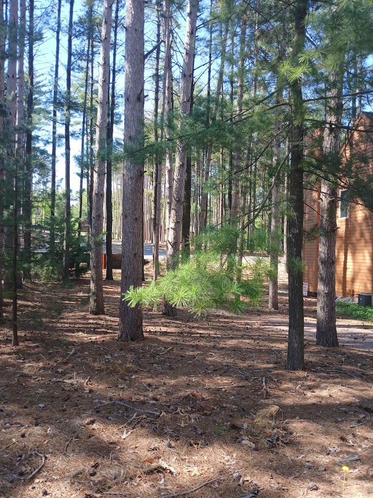  Christmas Mountain Village