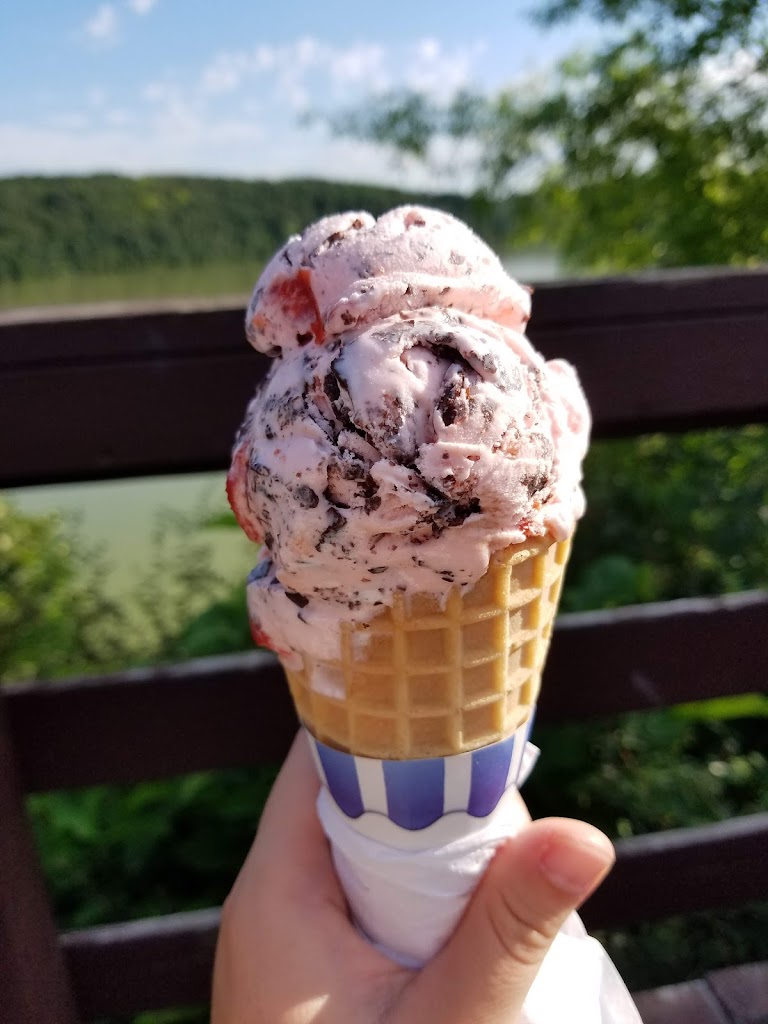  Yellowstone Lake Dairy Restaurant