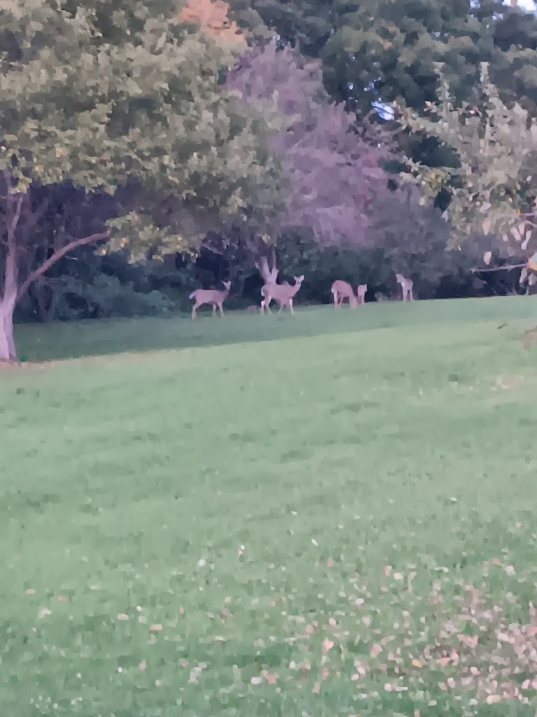  Apple Valley Road Haus and Event Center