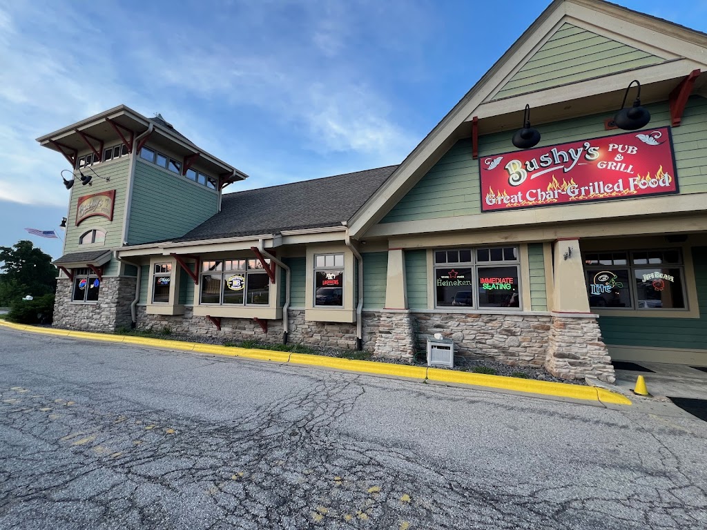  Bushy's Pub & Grill