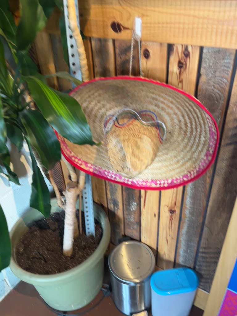  Paloma Taco + Tequila | Washington Heights